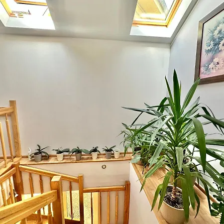 Pokoje U Slawomira Guest house